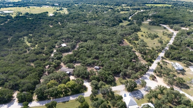 628 Peyton Colony Rd, Blanco, TX 78606 - photo 8
