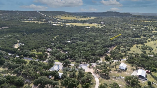628 Peyton Colony Rd, Blanco, TX 78606 - photo 9