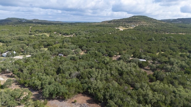 628 Peyton Colony Rd, Blanco, TX 78606 - photo 10