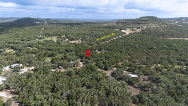 628 Peyton Colony Rd, Blanco, TX 78606 - photo 11
