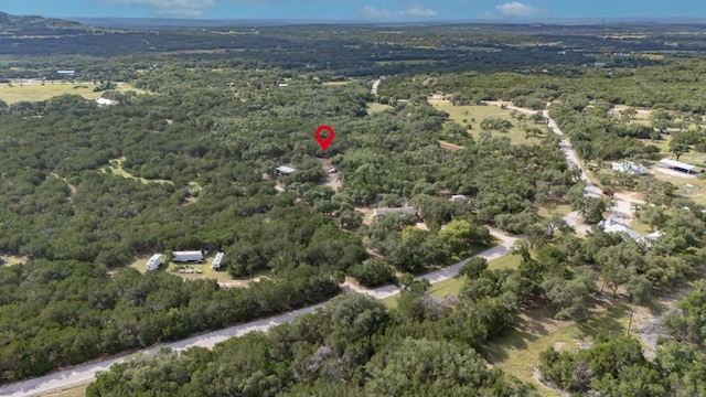 628 Peyton Colony Rd, Blanco, TX 78606 - photo 13