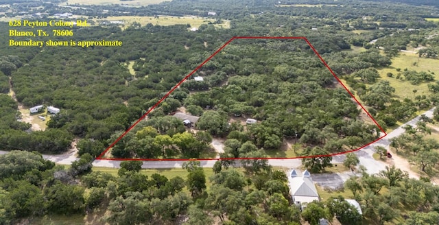 628 Peyton Colony Rd, Blanco, TX 78606 - photo 1