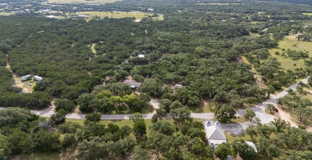 628 Peyton Colony Rd, Blanco, TX 78606 - photo 2