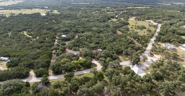 628 Peyton Colony Rd, Blanco, TX 78606 - photo 4