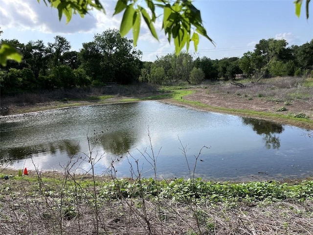 378 Forest Lake Dr, Del Valle, TX 78617