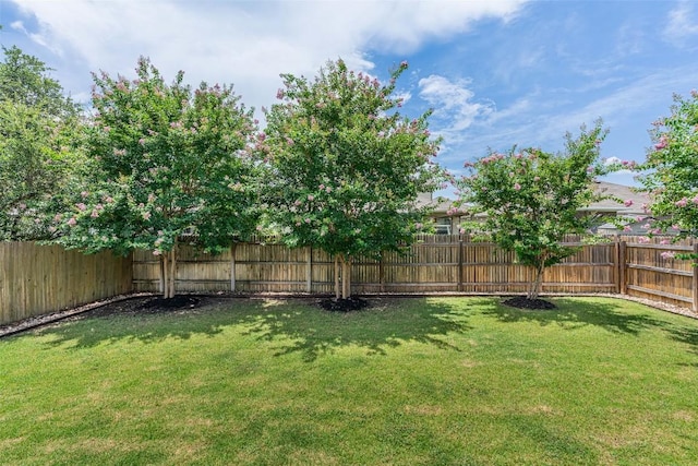 237 Magna Ln, Liberty Hill, TX 78642 - photo 6