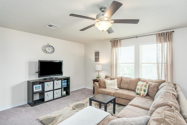 237 Magna Ln, Liberty Hill, TX 78642 - photo 23