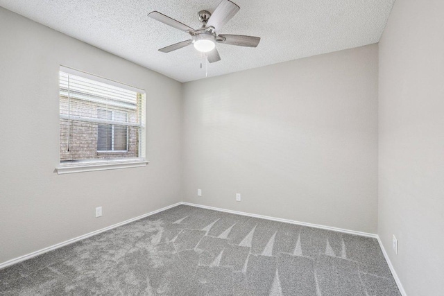 17003 Jigsaw Pathway, Round Rock, TX 78664 - photo 19
