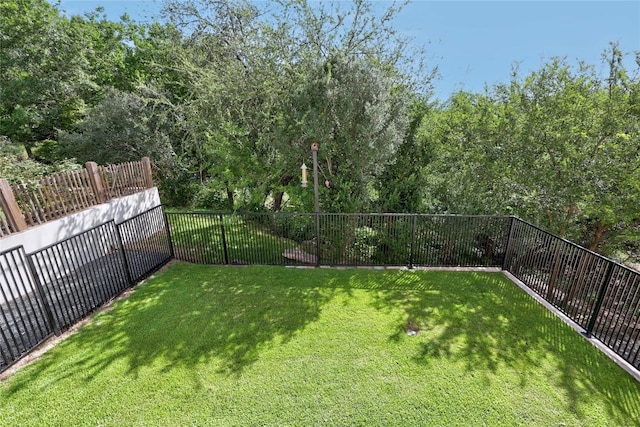 3973 River Place Blvd, Austin, TX 78730 - view of yard