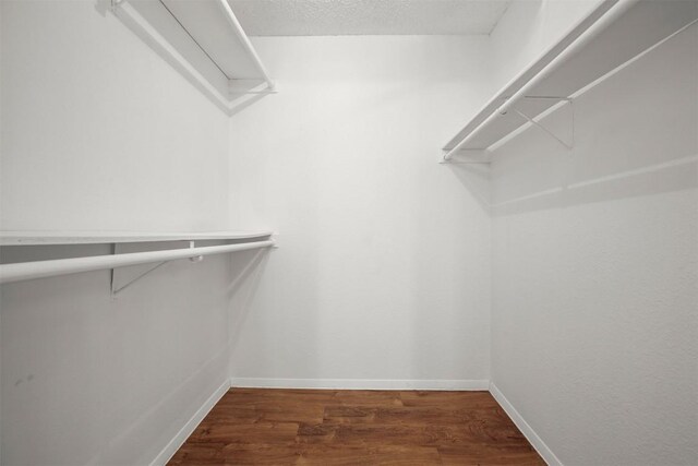 1606 Dale Cv, Round Rock, TX 78664 - photo 28