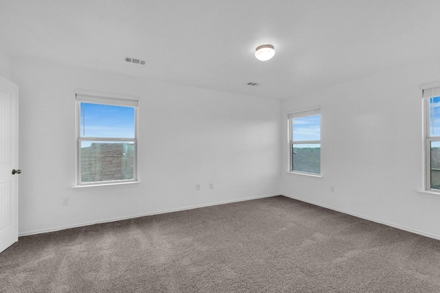 13009 Ship Bell Dr, Manor, TX 78653 - photo 26