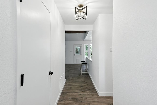 2207 Emerald Isle Dr, Leander, TX 78641 - hallway featuring dark wood finished floors and baseboards