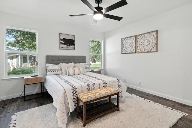 2207 Emerald Isle Dr, Leander, TX 78641 - bedroom with multiple windows, wood finished floors, and a ceiling fan