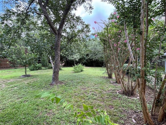 2207 Emerald Isle Dr, Leander, TX 78641 - view of yard