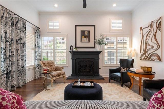 205 Versilia Cir, Lakeway, TX 78734 - living area with ornamental molding, wood finished floors, a fireplace with raised hearth, and recessed lighting