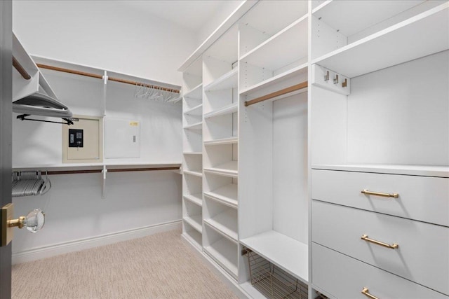 205 Versilia Cir, Lakeway, TX 78734 - walk in closet featuring carpet floors