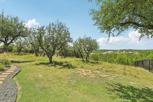 236 Ranch Ridge Dr, Dripping Springs, TX 78620 - photo 34