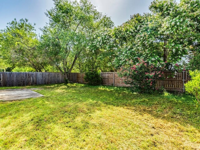 741 Brandi Cir, Kyle, TX 78640 - photo 30