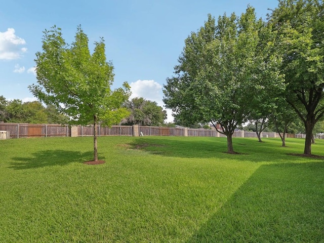 11608 Norwegian Wood Dr, Austin, TX 78758 - view of yard