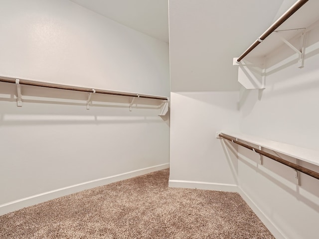 2800 Sebring Cir, Austin, TX 78747 - walk in closet featuring carpet flooring