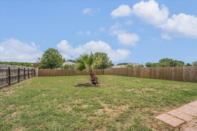 1101 Cherrywood, Kyle, TX 78640 - photo 23