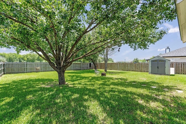208 Meadowside Dr, Hutto, TX 78634 - fenced backyard with a storage shed