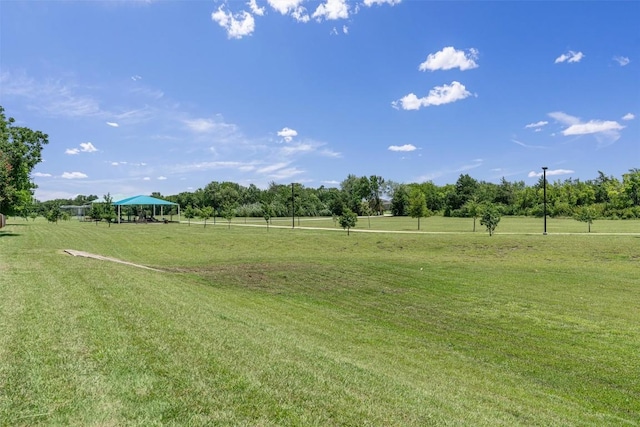 208 Meadowside Dr, Hutto, TX 78634 - view of green lawn