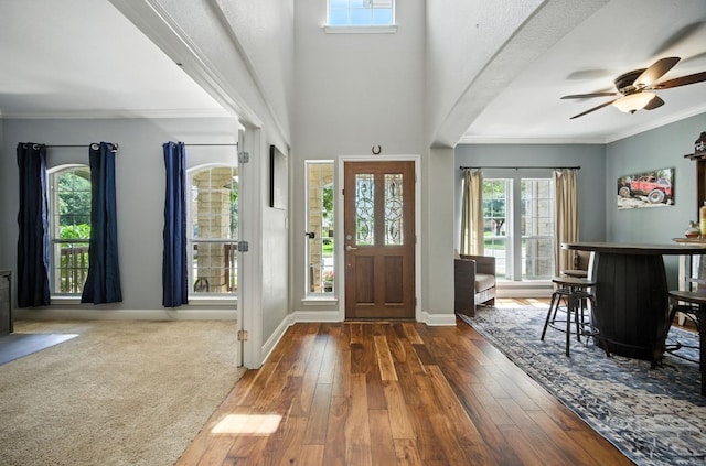 1208 Pine Forest Cir, Round Rock, TX 78665 - foyer with healthy amount of natural light, hardwood / wood-style flooring, crown molding, and ceiling fan