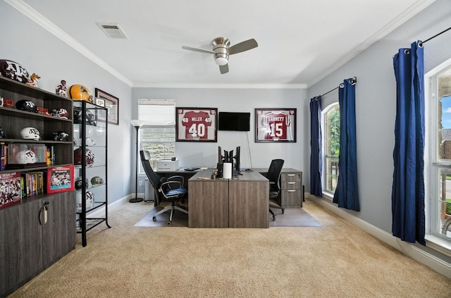 1208 Pine Forest Cir, Round Rock, TX 78665 - carpeted office with a ceiling fan and ornamental molding