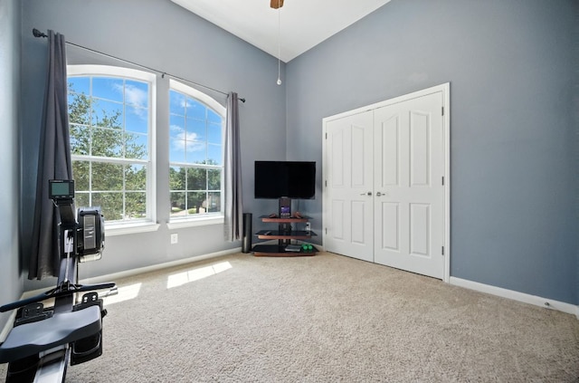 1208 Pine Forest Cir, Round Rock, TX 78665 - living area with carpet floors and high vaulted ceiling