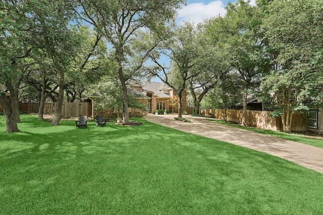 7204 Guava Cv, Austin, TX 78750 - view of yard