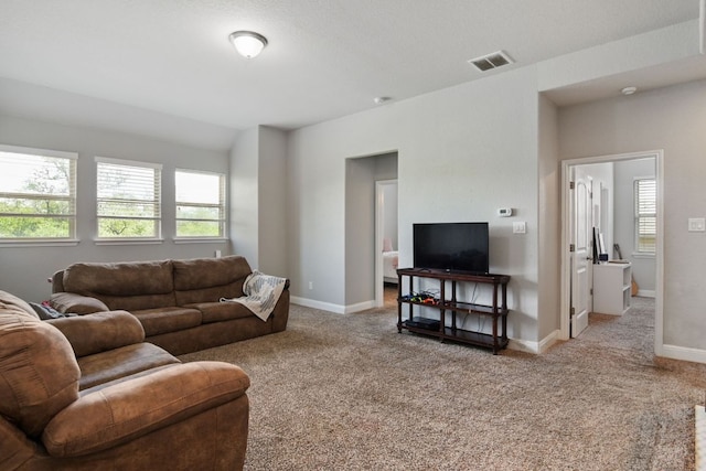 30872 Schlather Ln, Bulverde, TX 78163 - carpeted living room with healthy amount of natural light