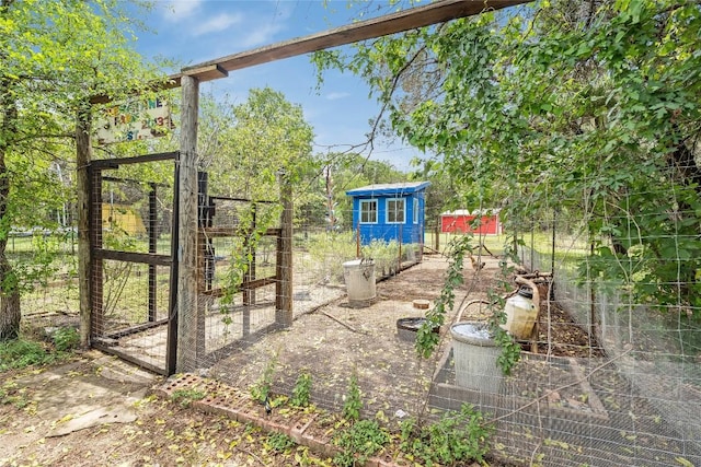 10133 Oliver Dr, Austin, TX 78737 - view of yard featuring a storage shed