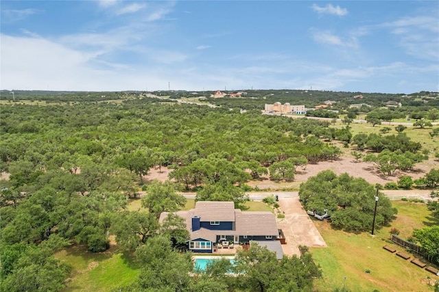10133 Oliver Dr, Austin, TX 78737 - view of subject property with a pool and a heavily wooded area