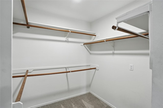 12007 Sky W Dr, Austin, TX 78758 - walk in closet featuring carpet flooring