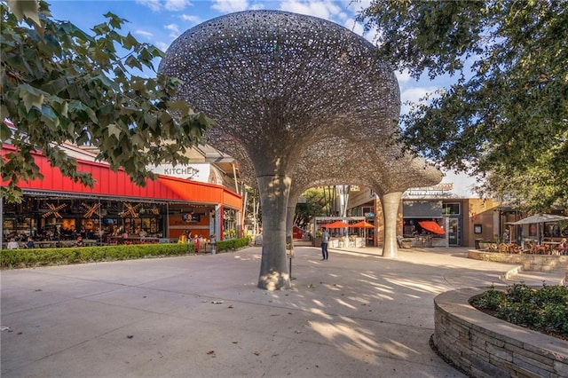 12007 Sky W Dr, Austin, TX 78758 - view of community