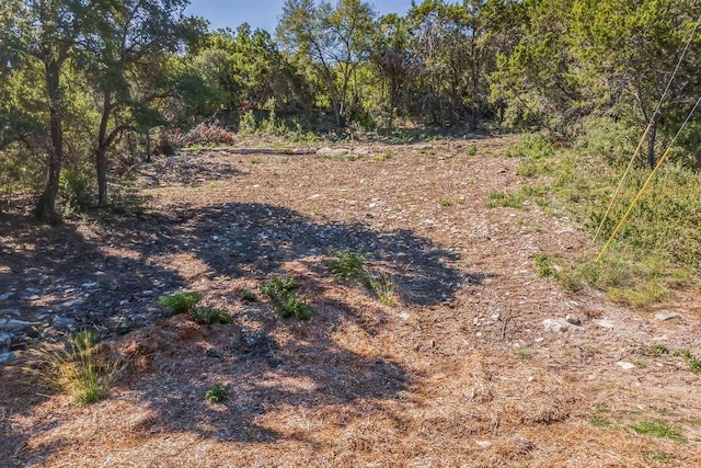22305 Bute Dr, Spicewood, TX 78669