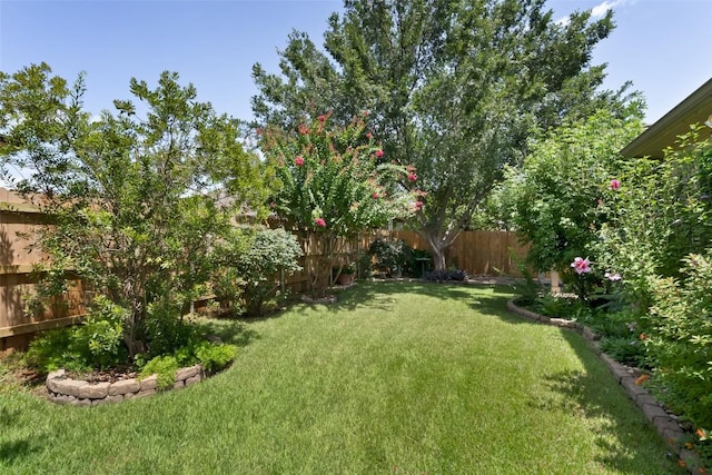 131 Lacebark Ln, Buda, TX 78610 - photo 34