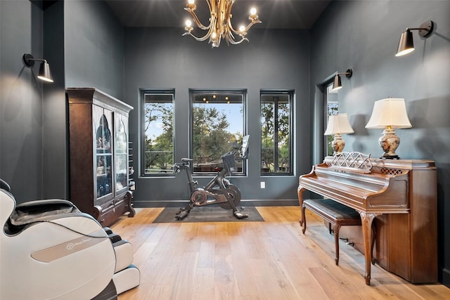 11420 Rim Rock Trl, Austin, TX 78737 - workout room with hardwood / wood-style floors, a chandelier, and a towering ceiling