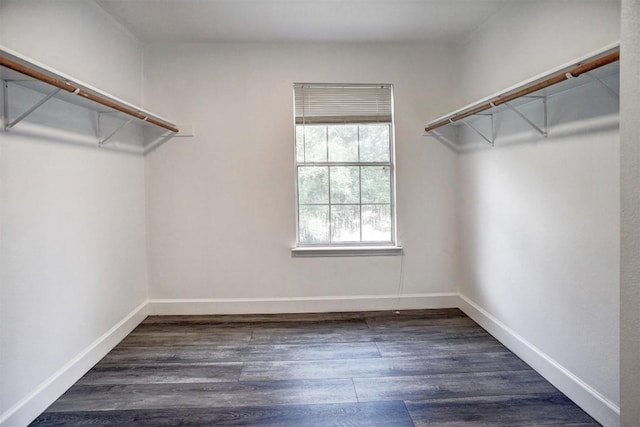 742 Annika Way, Bastrop, TX 78602 - walk in closet featuring dark wood finished floors