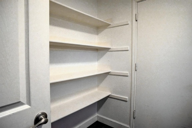742 Annika Way, Bastrop, TX 78602 - view of storage area