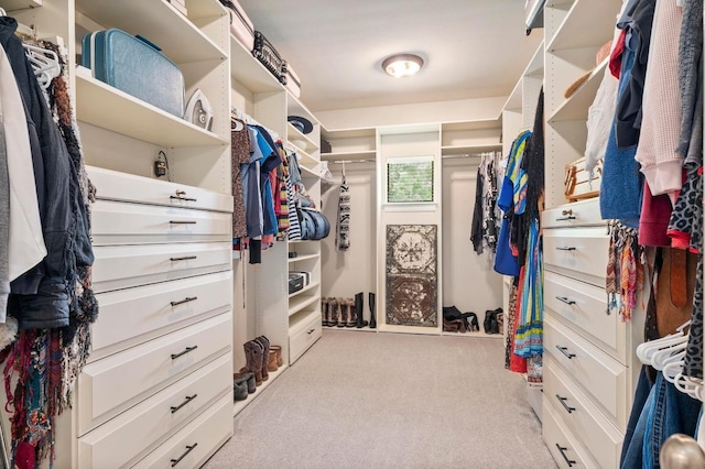9 Heatherbloom Ln, The Hills, TX 78738 - walk in closet featuring carpet floors