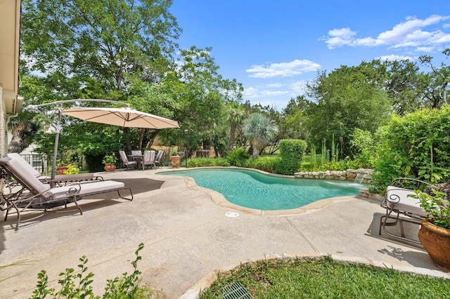 9 Heatherbloom Ln, The Hills, TX 78738 - swimming pool featuring a patio area and view of wooded area
