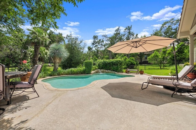 9 Heatherbloom Ln, The Hills, TX 78738 - swimming pool featuring a patio