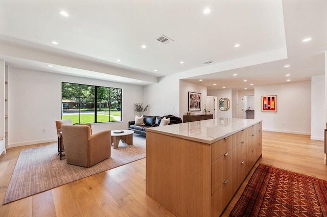 2517 Great Oaks Pkwy, Austin, TX 78756 - kitchen with open floor plan, light wood finished floors, a large island, modern cabinets, and recessed lighting