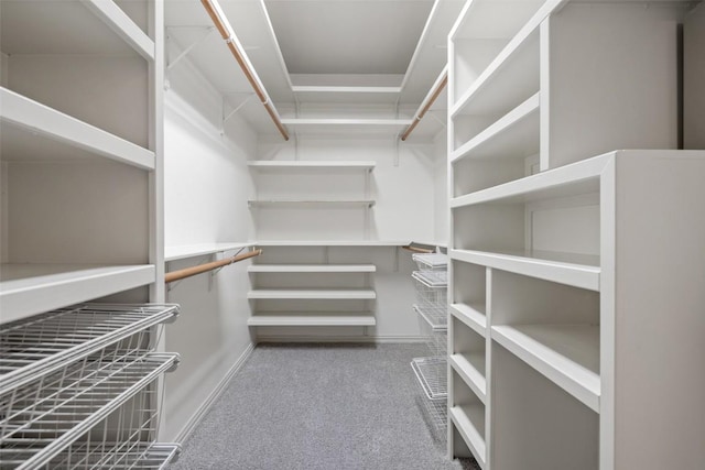 3803 Katie Ln, Cedar Park, TX 78613 - spacious closet featuring carpet flooring