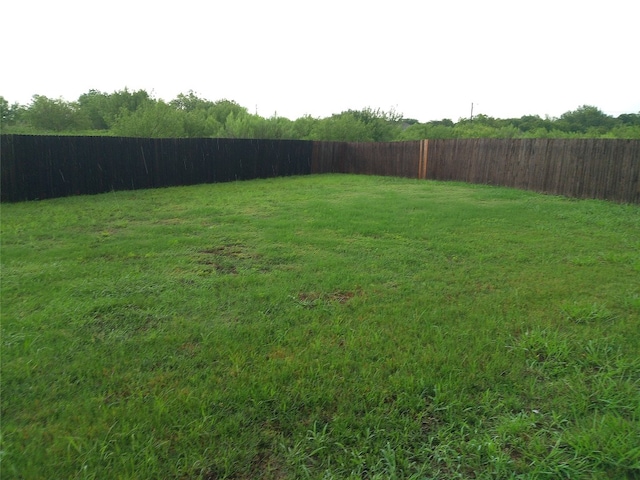 11540 Arbroath Ln, Austin, TX 78754 - view of yard