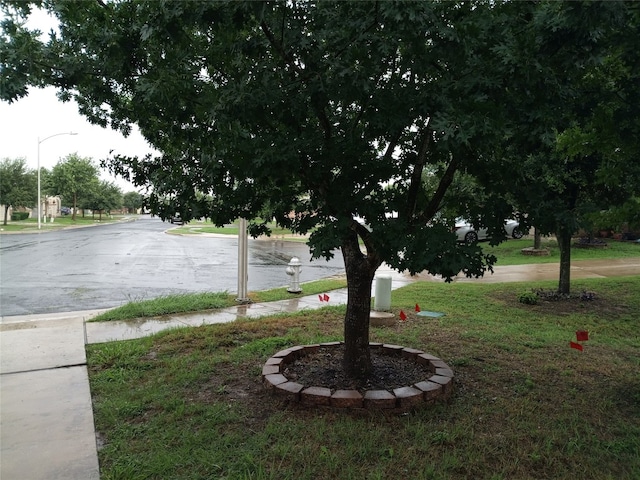 11540 Arbroath Ln, Austin, TX 78754 - view of grassy yard