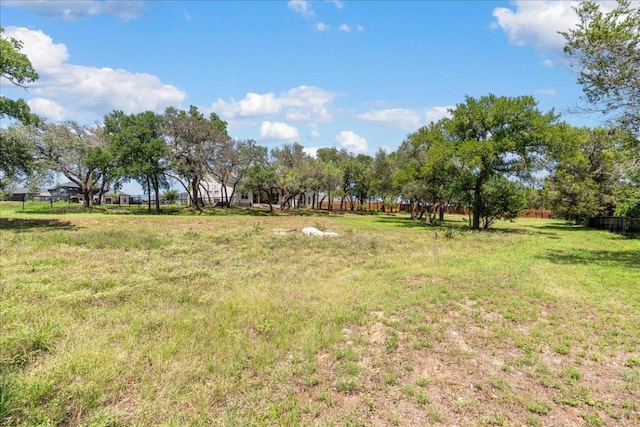 141 Tambra Lea Ln, Liberty Hill, TX 78642 - photo 37