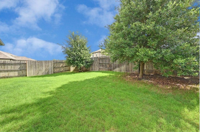 211 Thornless Cir, Buda, TX 78610 - photo 18